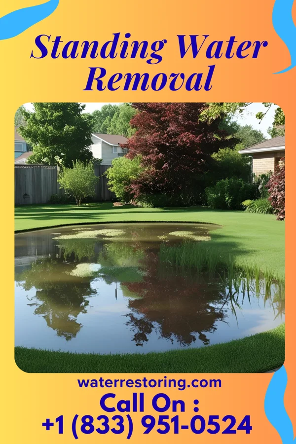 Standing Water Removal in Muncy, PA